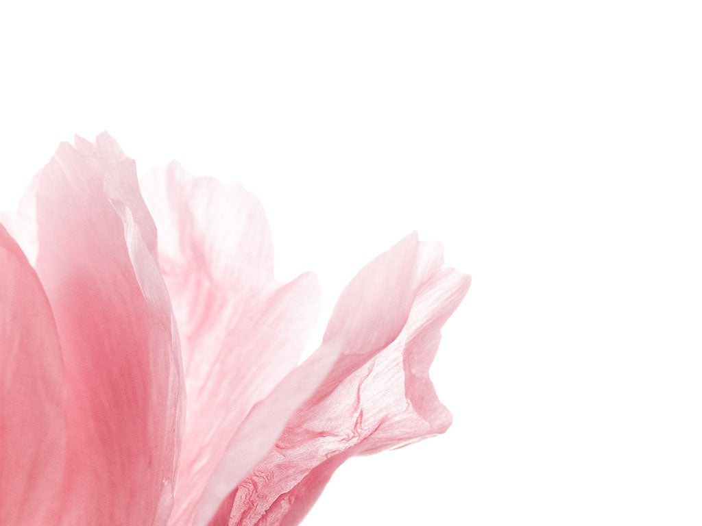 FABRIC TAKES ON MANY FORMS
